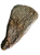 367416078_796462608690196_9168075525281587397_n_preview_rev_1.png