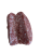 ors.png